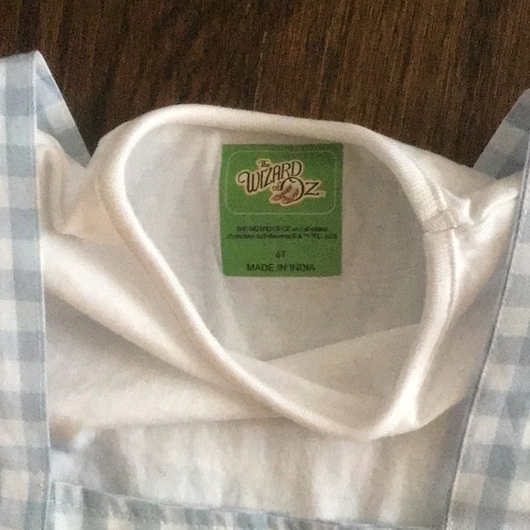 Wizard of OZ ~ Dorothy & Toto Blue Gingham Pinafore Dress with White T-Shirt - Picture 3 of 13